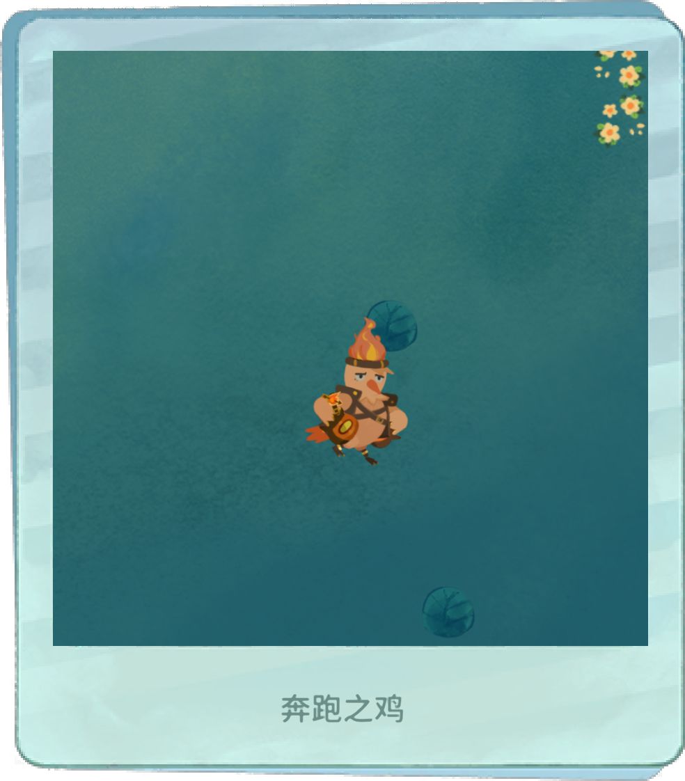 关于鸡哥 1