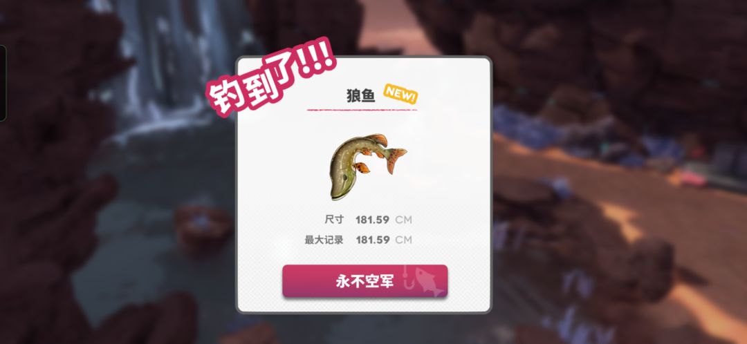 如图 2