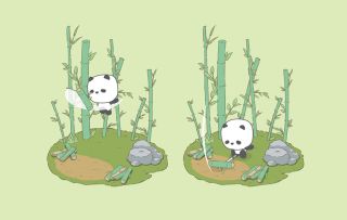 熊猫我呀，给城主表演一段功夫吧~