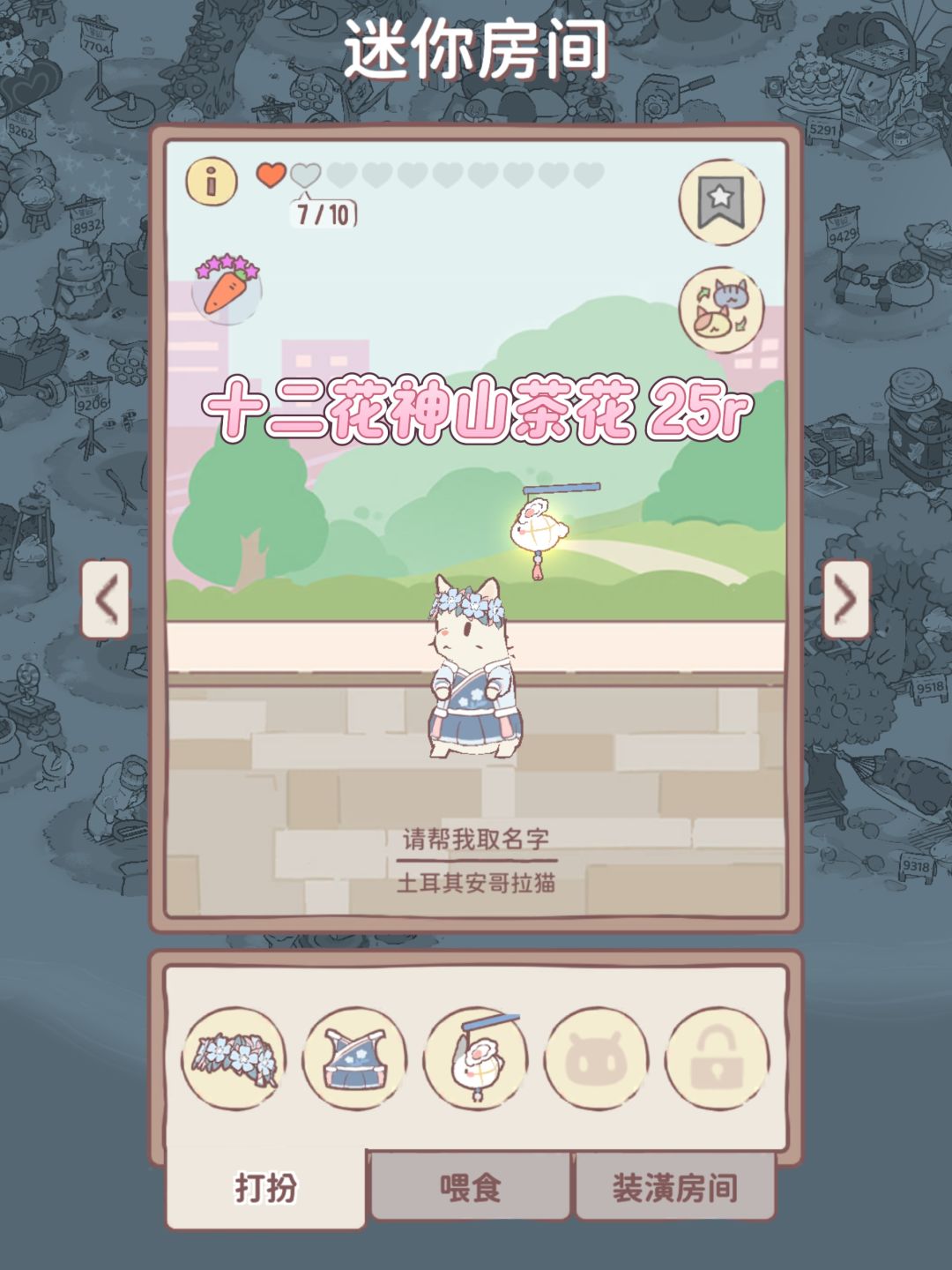 【返场礼包】猫咪和汤国服2.19返场物品一览 3