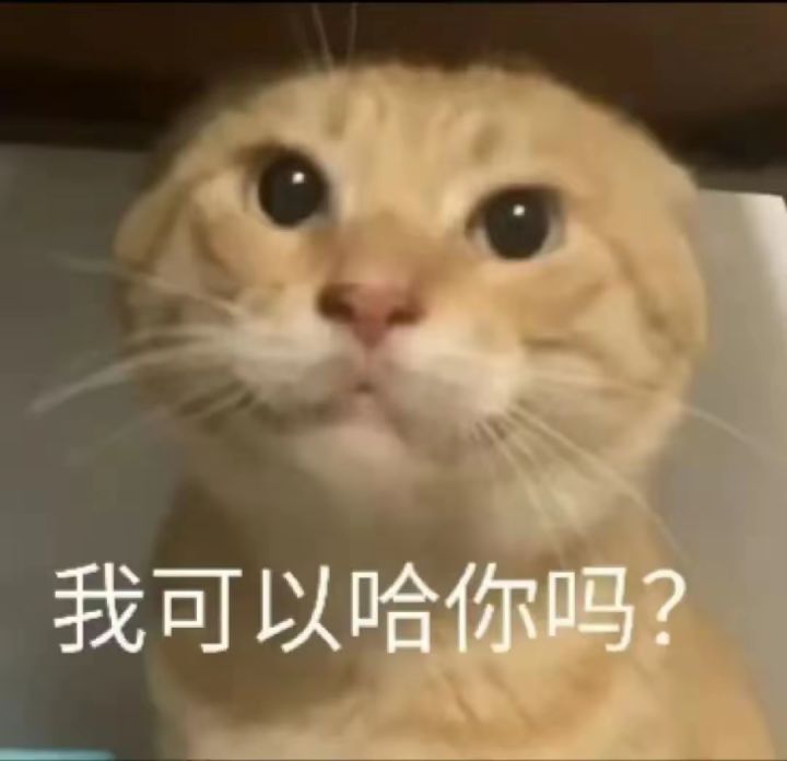 策划的小巧思截图
