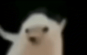 ~ 1