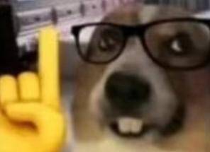 互绑截图