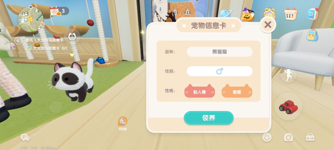 两只豆眼熊猫猫,该选哪只呢? 2