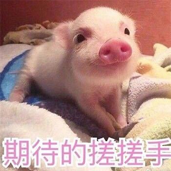 求推荐个手柄截图
