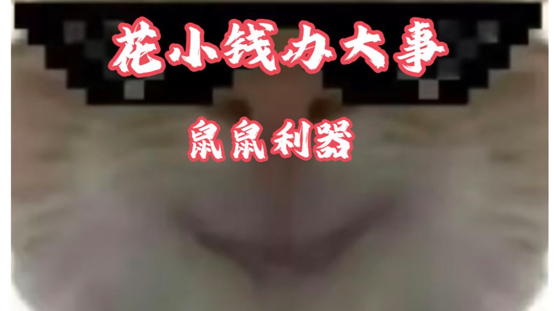 【三角洲行动】高性价比平民神器第二期！花小钱办大事，鼠鼠利器截图