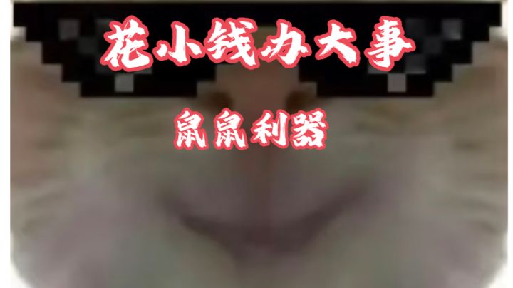 【三角洲行动】高性价比平民神器第二期!花小钱办大事,鼠鼠利器截图