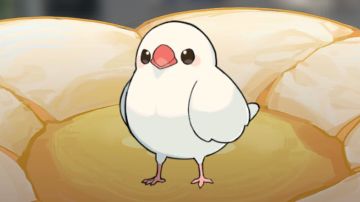 【雷索纳斯】非专业入坑小Tips︱新人开荒攻略（文鸟镇楼）