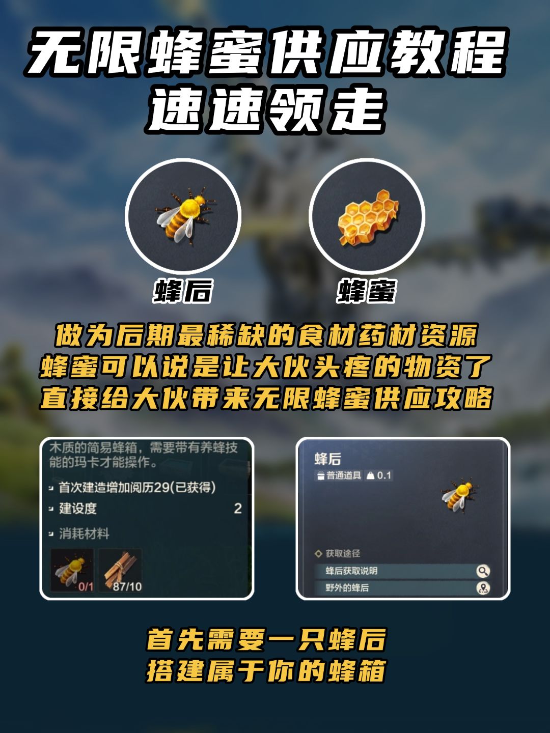 无限量蜂蜜供应速速领走 2