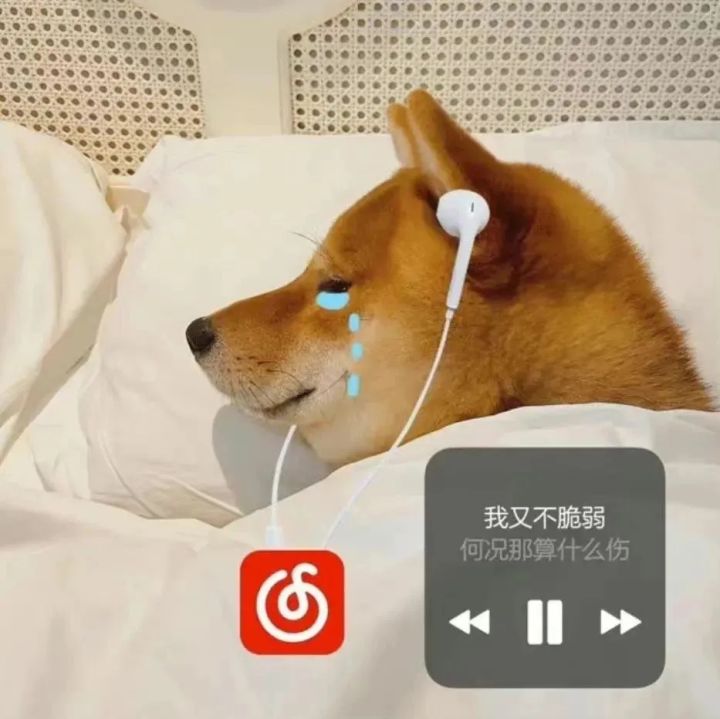 手游版应该会有修改吧?截图