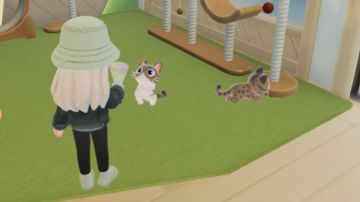 找到的一些稀有泡泡地点