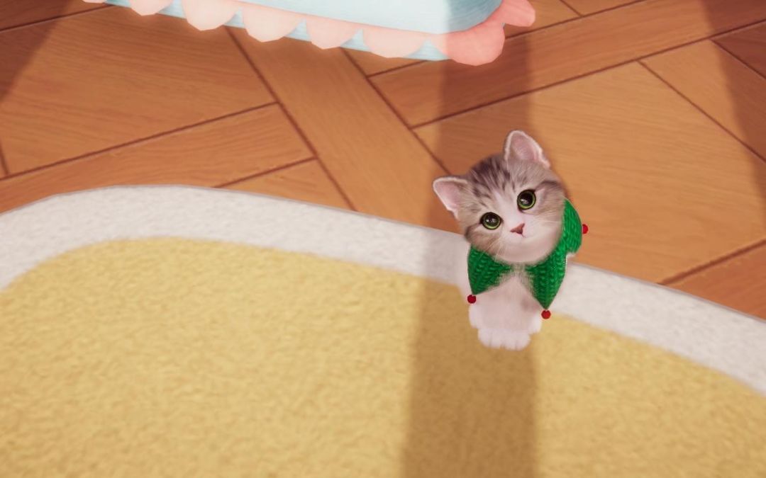 猪咪猪咪 9