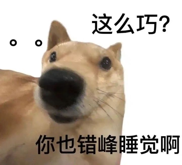 一上来做神装,是不是纯纯浪费?截图
