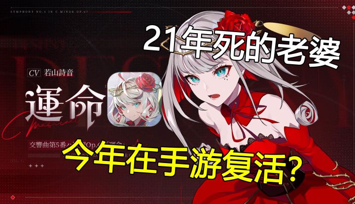 《宿命回响》直接冲日服,为的就是跟死去的老婆团聚截图