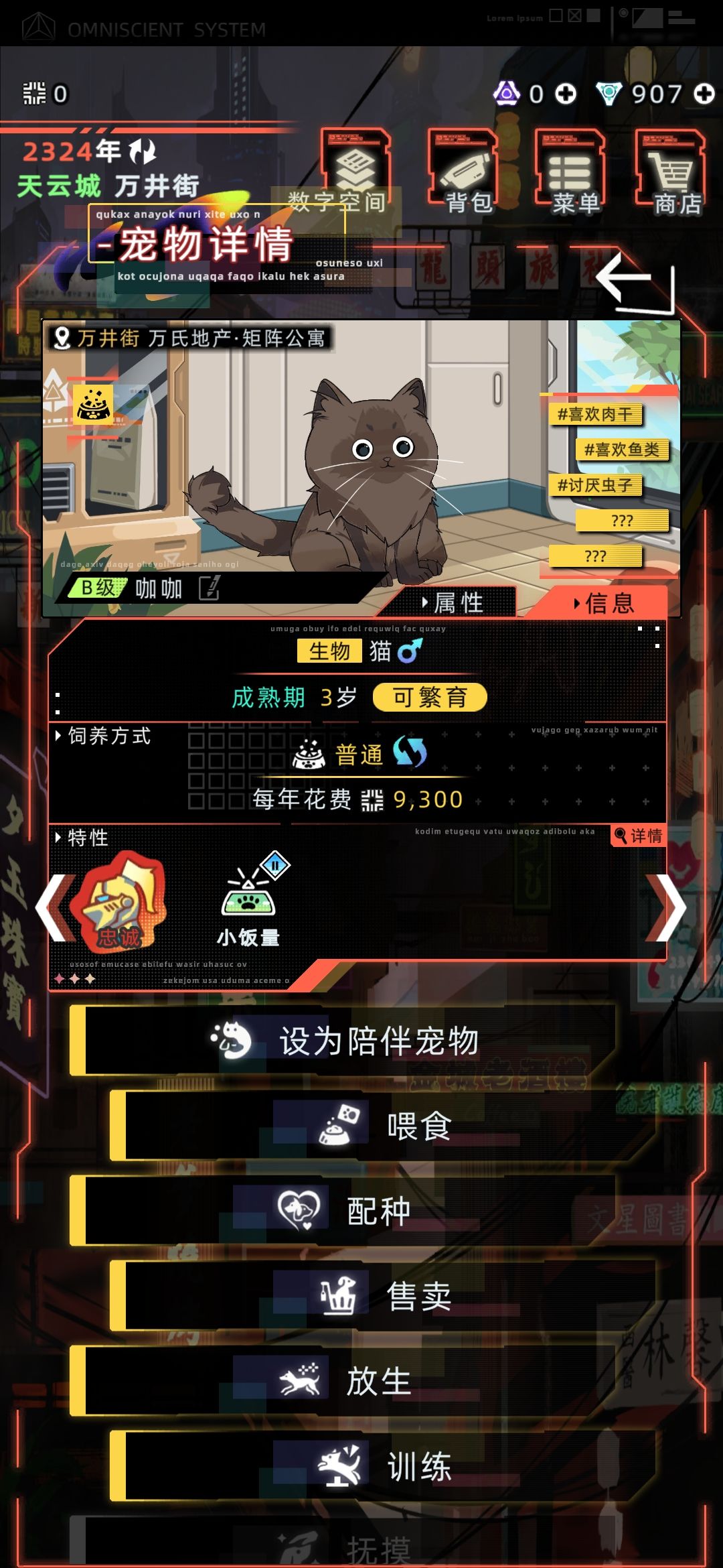 上哪儿去遇到这么好的猫猫呢 2