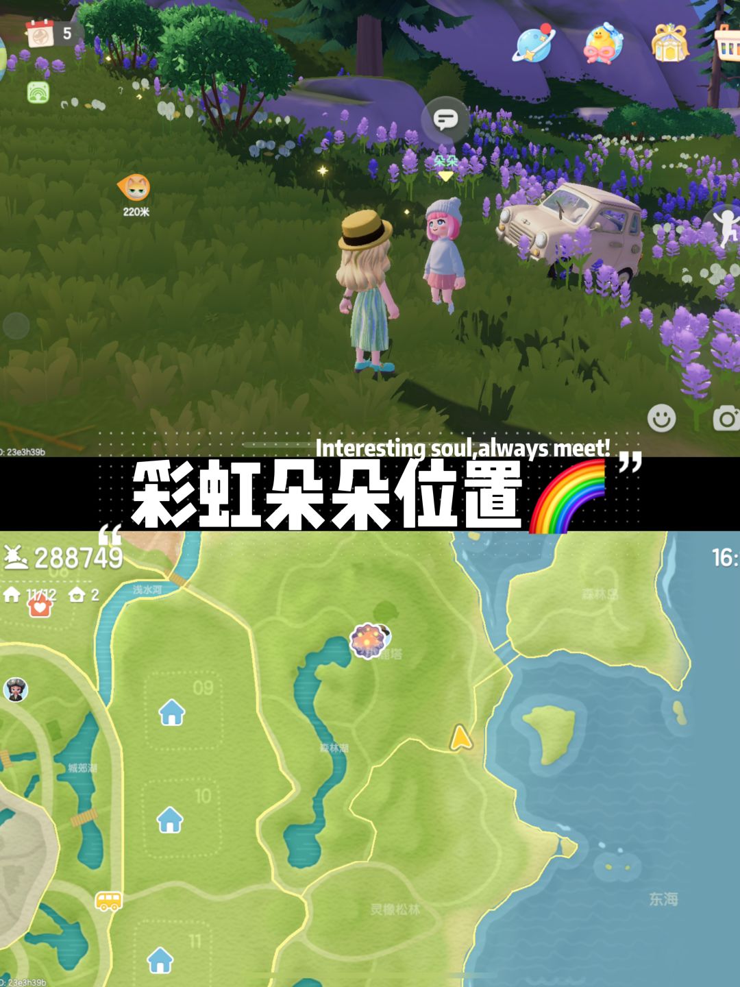 【9月8】今日彩虹天！正文彩虹花位置！！！ 2