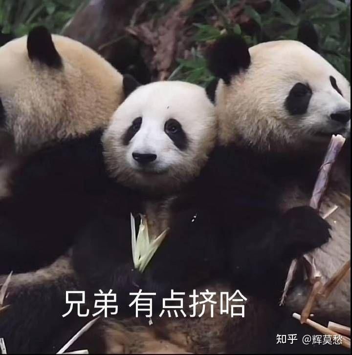PVE蛇刃剑灵几级最优截图