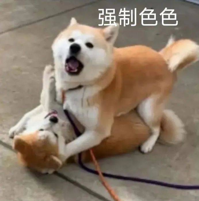 玩了快一个星期,想说的很多。 2