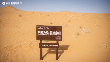 2022到2024，我们种的树现在长这样了！