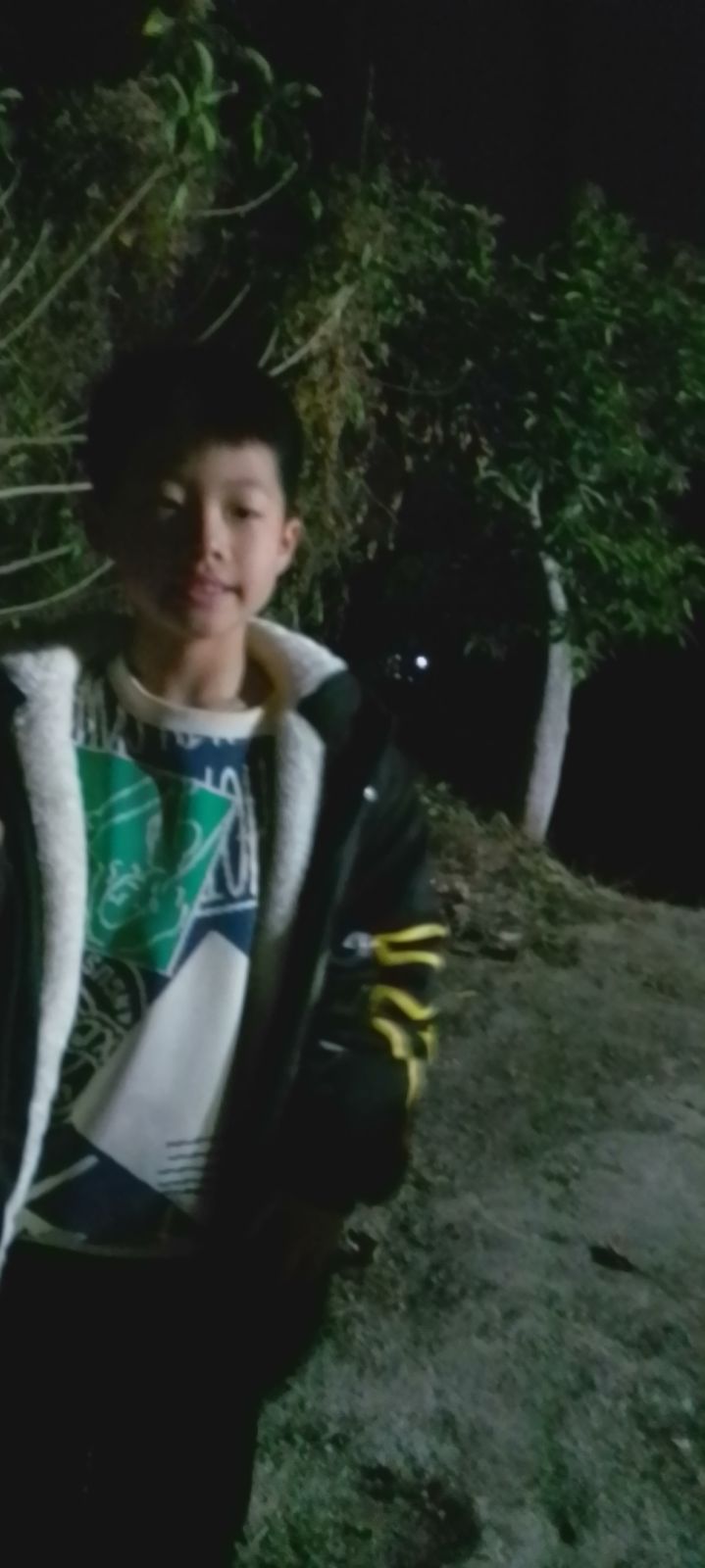动态图片 8
