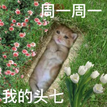 【新区公告】天启-战争耳坠（安卓IOS混服）来袭！