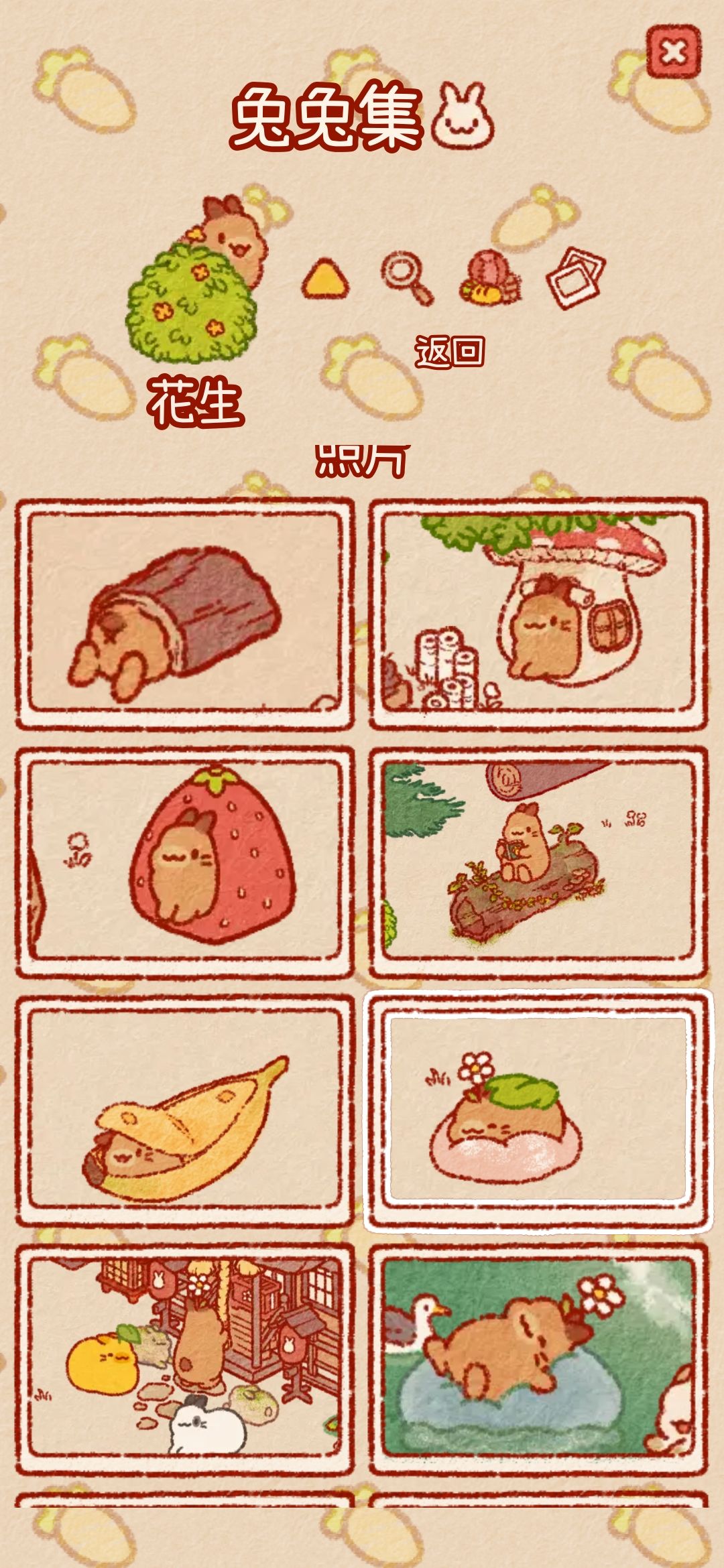 兔兔岛快更新 4