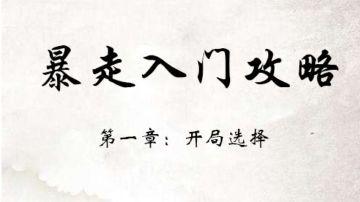 暴走保姆级入门教学！专为萌新打造！（第一章：开局选择）