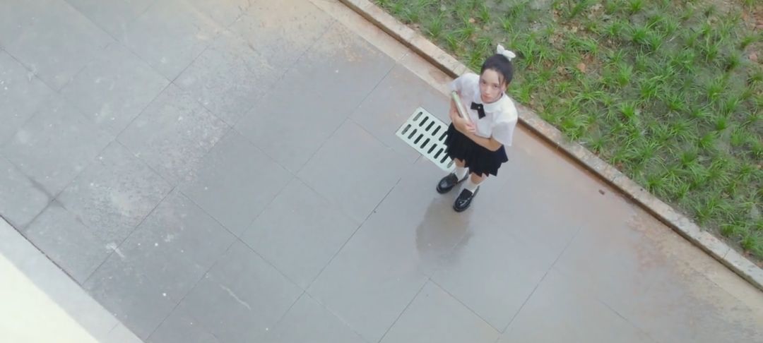 花心大萝卜也有自己的白月光 3