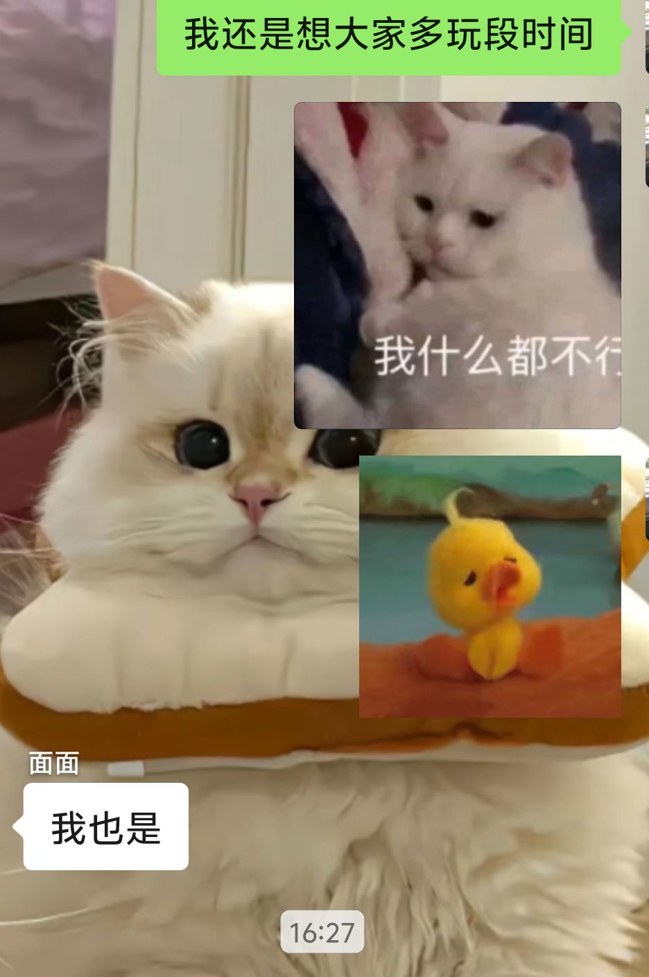 周年庆不知道狗白出这个血影的意义在哪 2