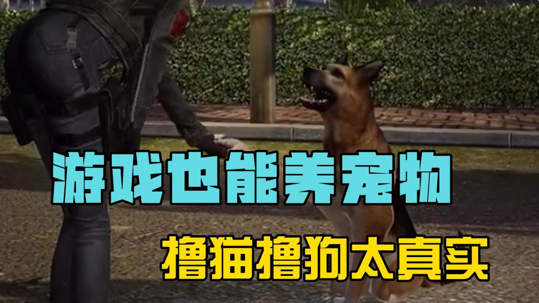 video-3374440
