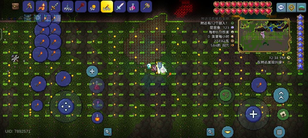 关于生命果和世花农场 1