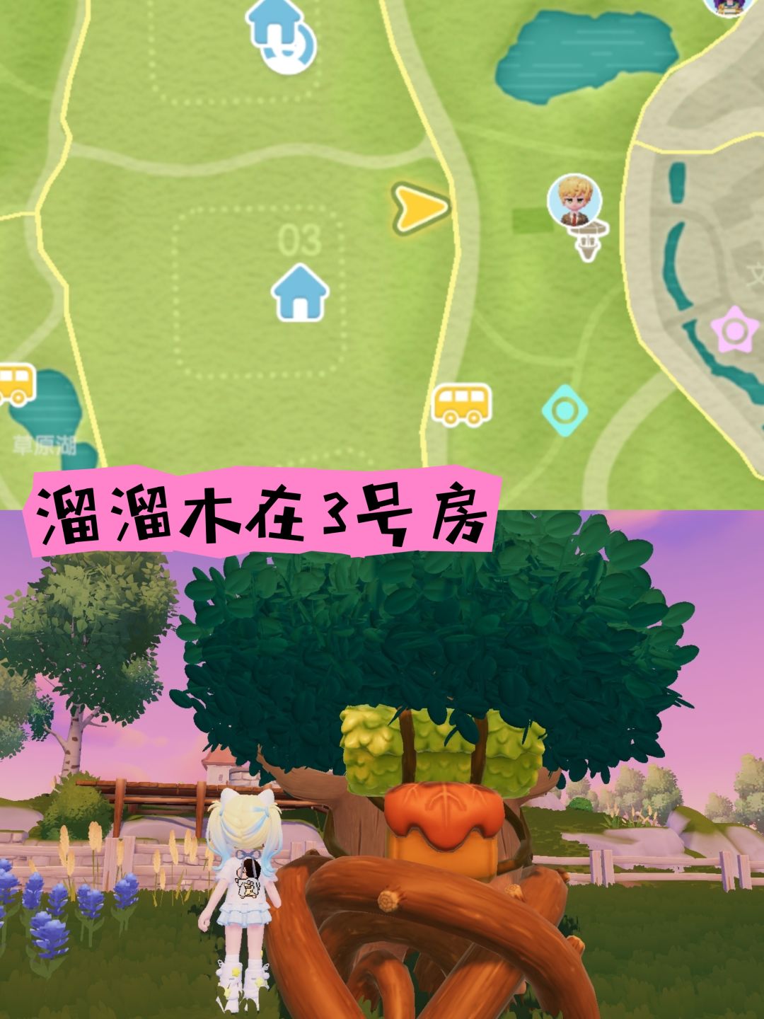 动态图片 4