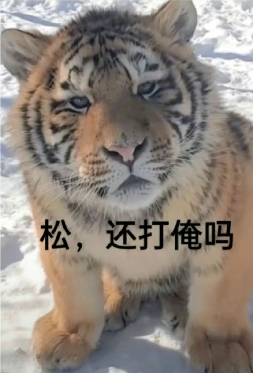 二等一 两个回归 1