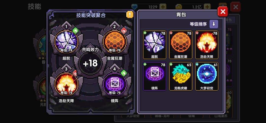 技能终于拉到+18了 1