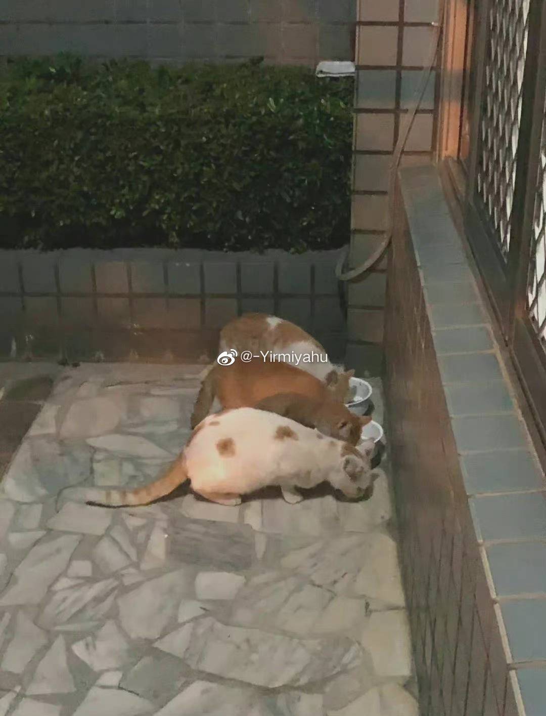都是任务罢了 1
