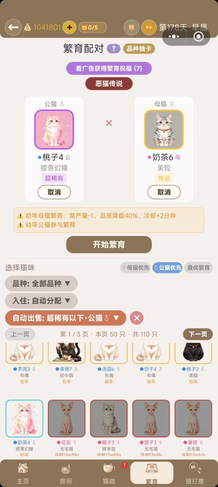 猫为什么不见了截图
