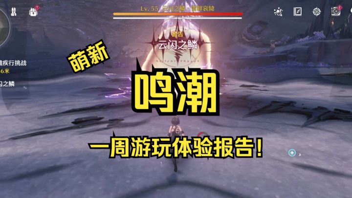 【鸣潮】萌新一周体验报告,战斗炫酷流畅,文案爆典拉跨截图