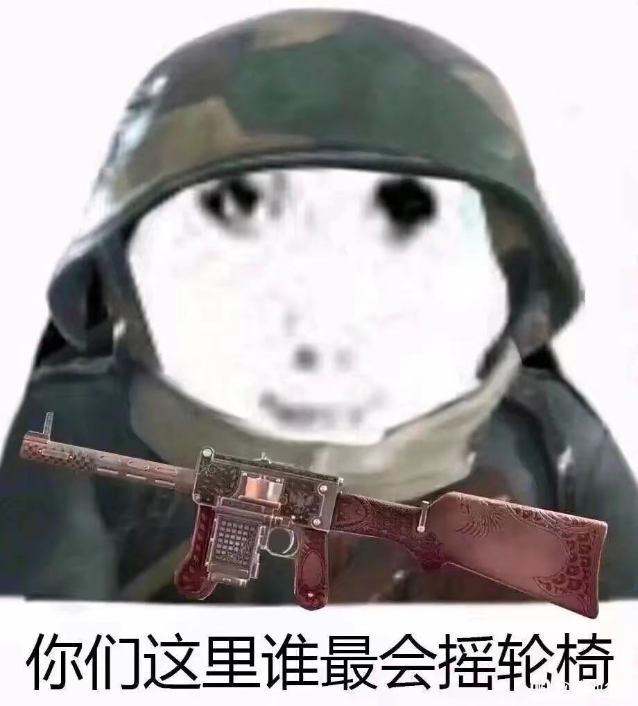 魔方训狗技术一流 1