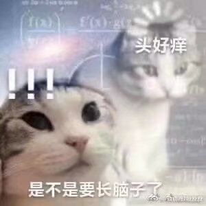 我要当开服玩家！！！！！！！！！！截图