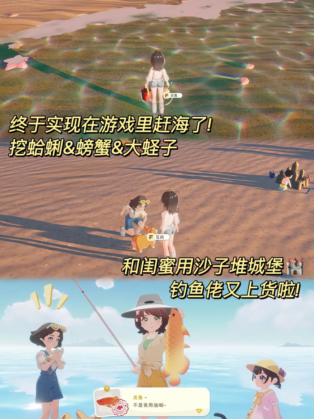 Steam新游🌲赶海+种田生活模拟游戏！ 5