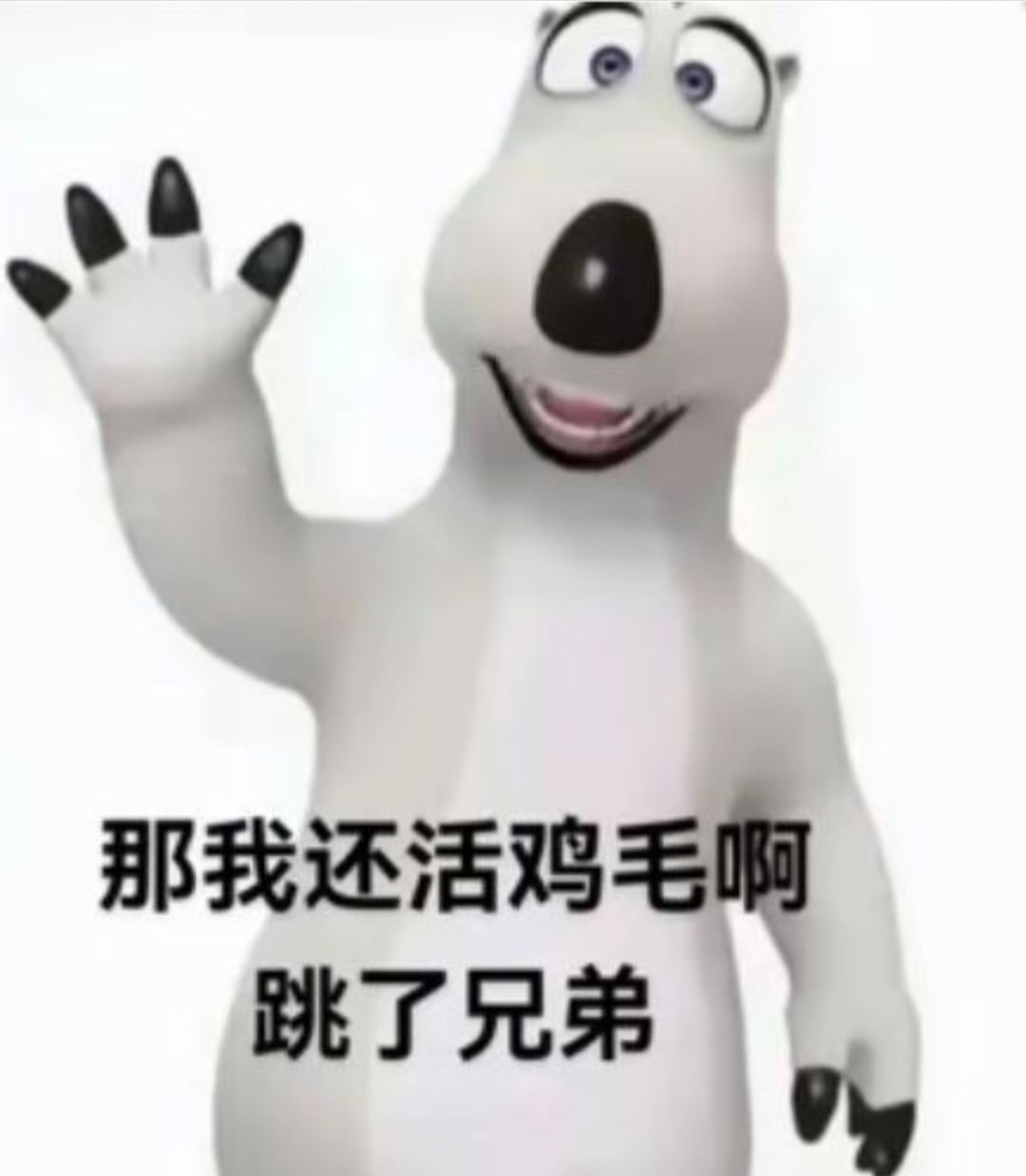 这次是真没有了,准备了几台设备我已疾苦 1