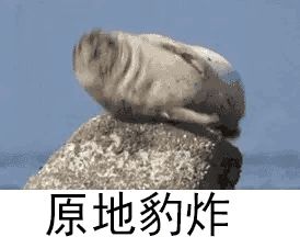 育狗截图