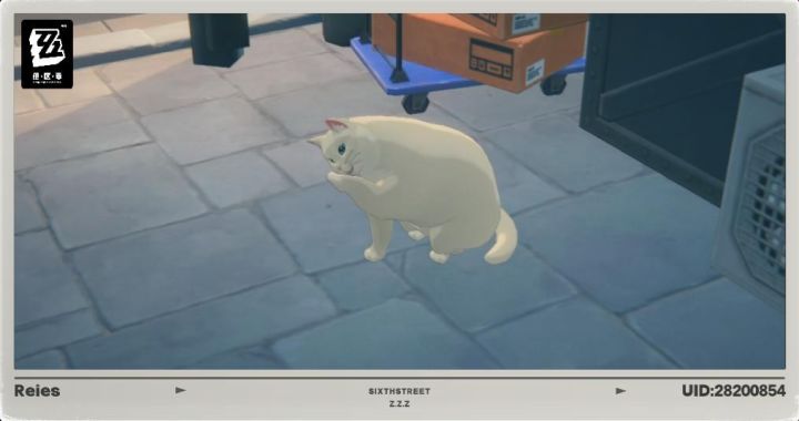 他甚至就叫六分街的胖猫截图