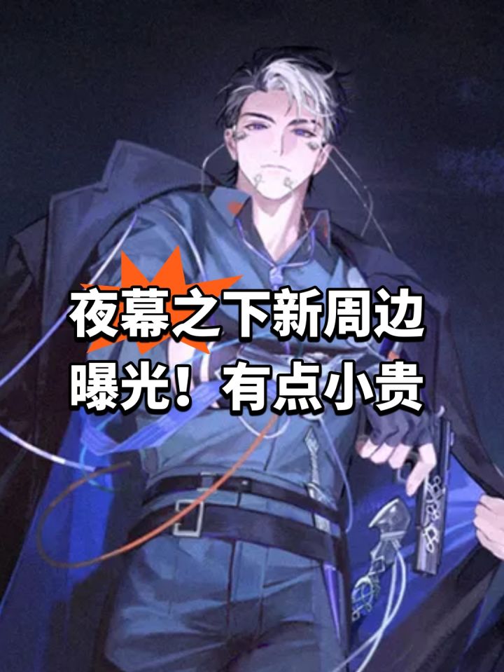 夜幕之下新周边曝光!有点小贵截图