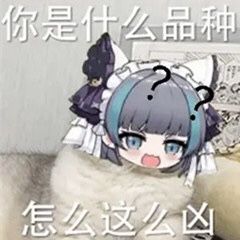 猫猫表情包2.0 1