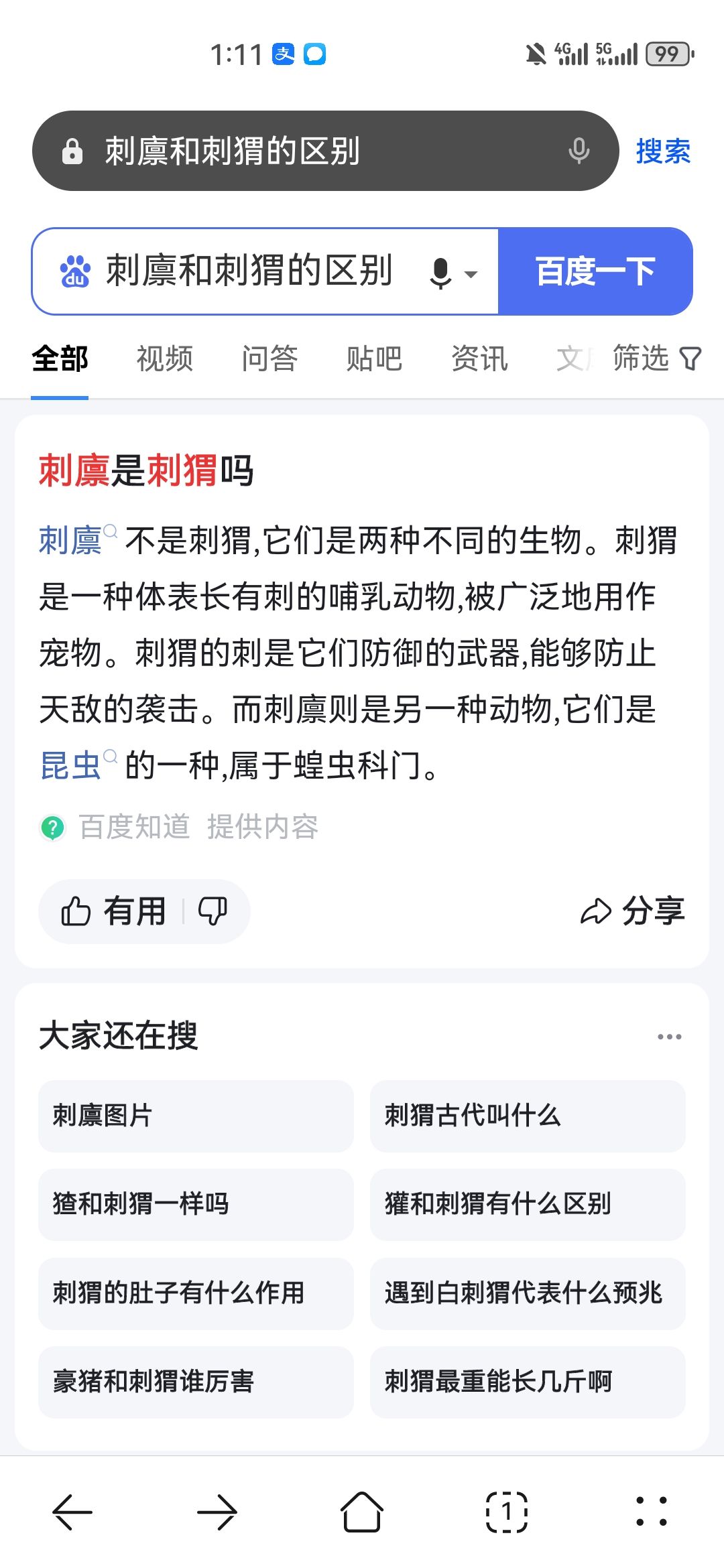 刺猬or刺廪 2