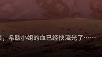 第四章主线三圣石