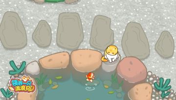 种花！养鱼！撸猫猫！
