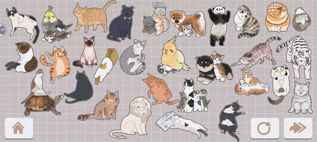 猫的完成展示图2 2