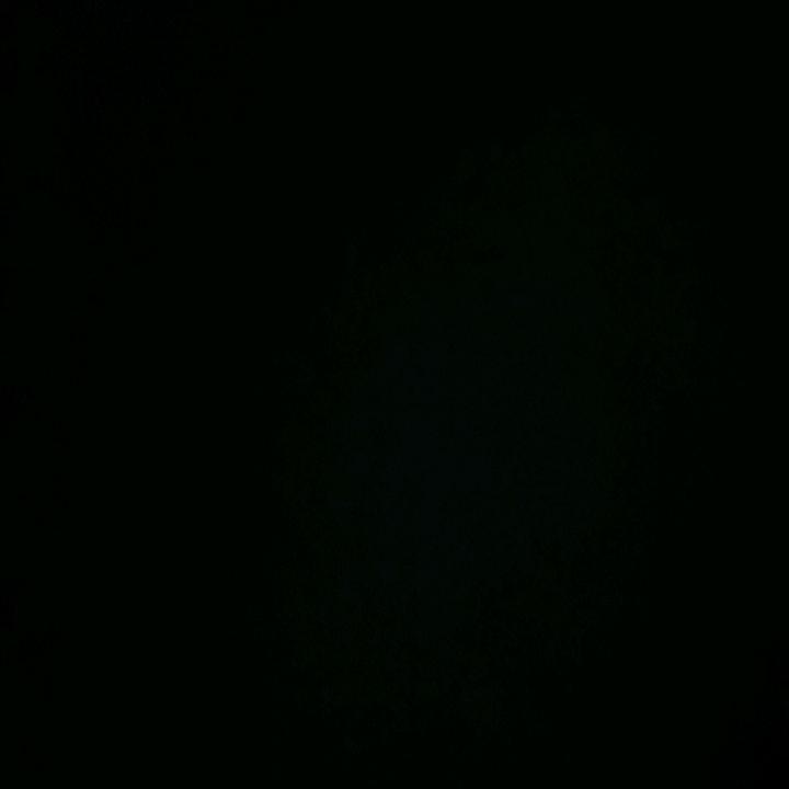 动态图片 7
